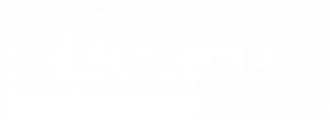 alder group logo